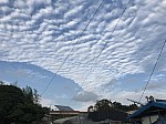 20120922 SangeunSong.jpg 20120922 SangeunSong.jpg
